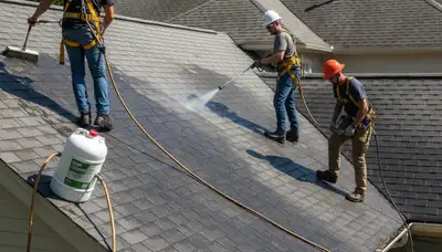 Roof cleaning service in San Antonio, TX for siding and exterior home maintenance